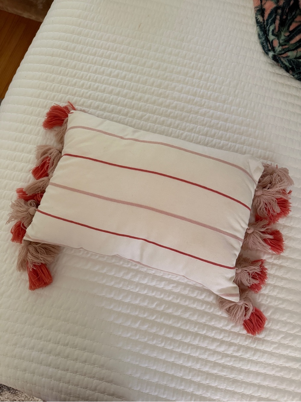 Target Throw Pillows - Picture 2 of 3